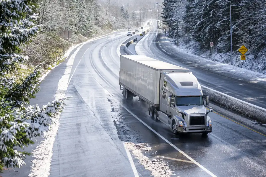 Professional Transportation Services